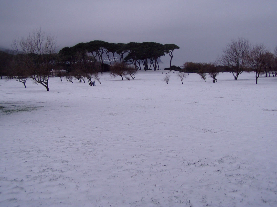I fossi e lo stagno di Baratti (Piombino - LI)